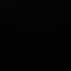 Meet your Posher, Larry